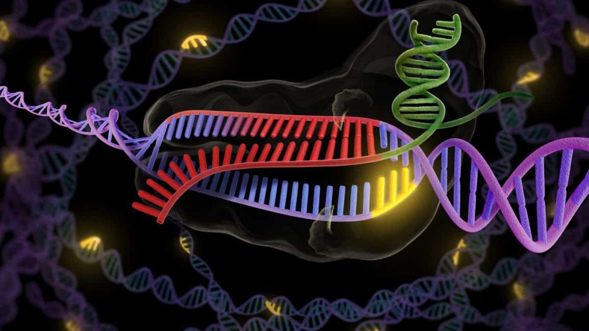 Crispr illustration