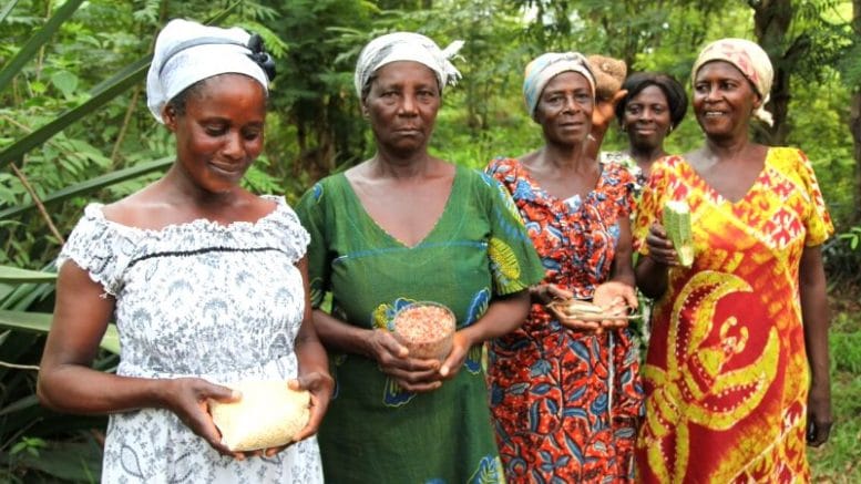 Exchanging seed in Ghana