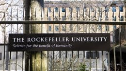 Oxytocin-enforced norm compliance reduces xenophobic outgroup rejection