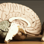 Screenshot 2024-04-29 at 10.12.11 AM