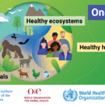 2021_One-Health-1200×675[60] (1)