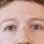 c_fit,fl_progressive,q_80,w_636